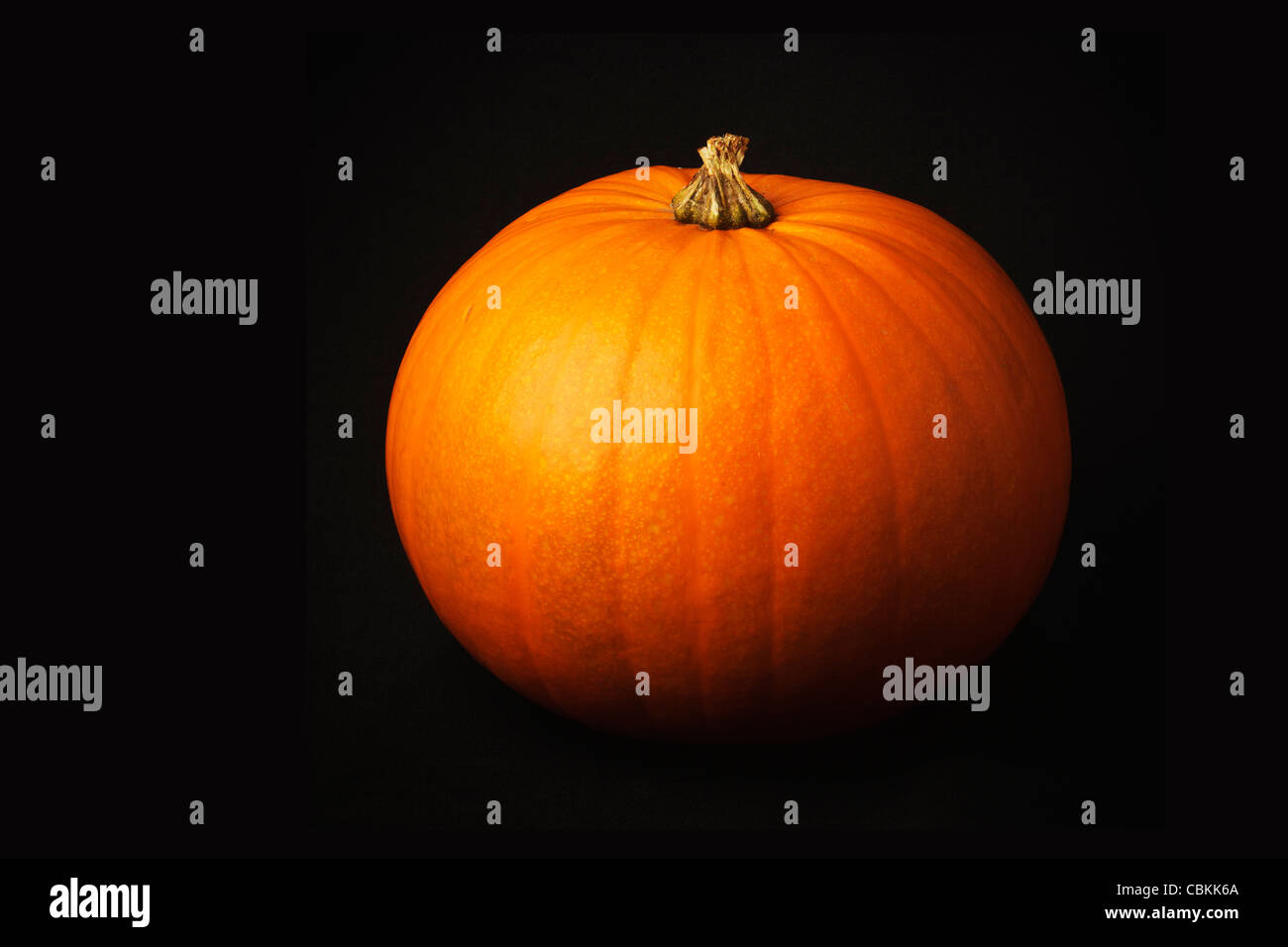 A pumpkin against a black background Stock Photo