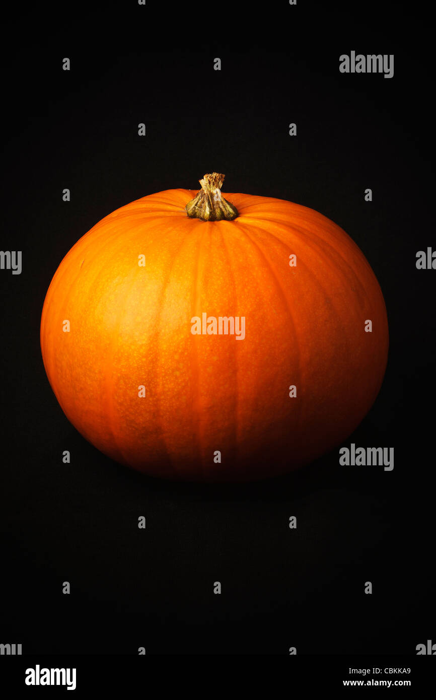 A pumpkin against a black background Stock Photo - Alamy