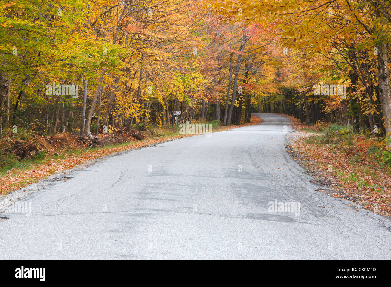 Tripoli Road in the Waterville Valley, New Hampshire USA during the