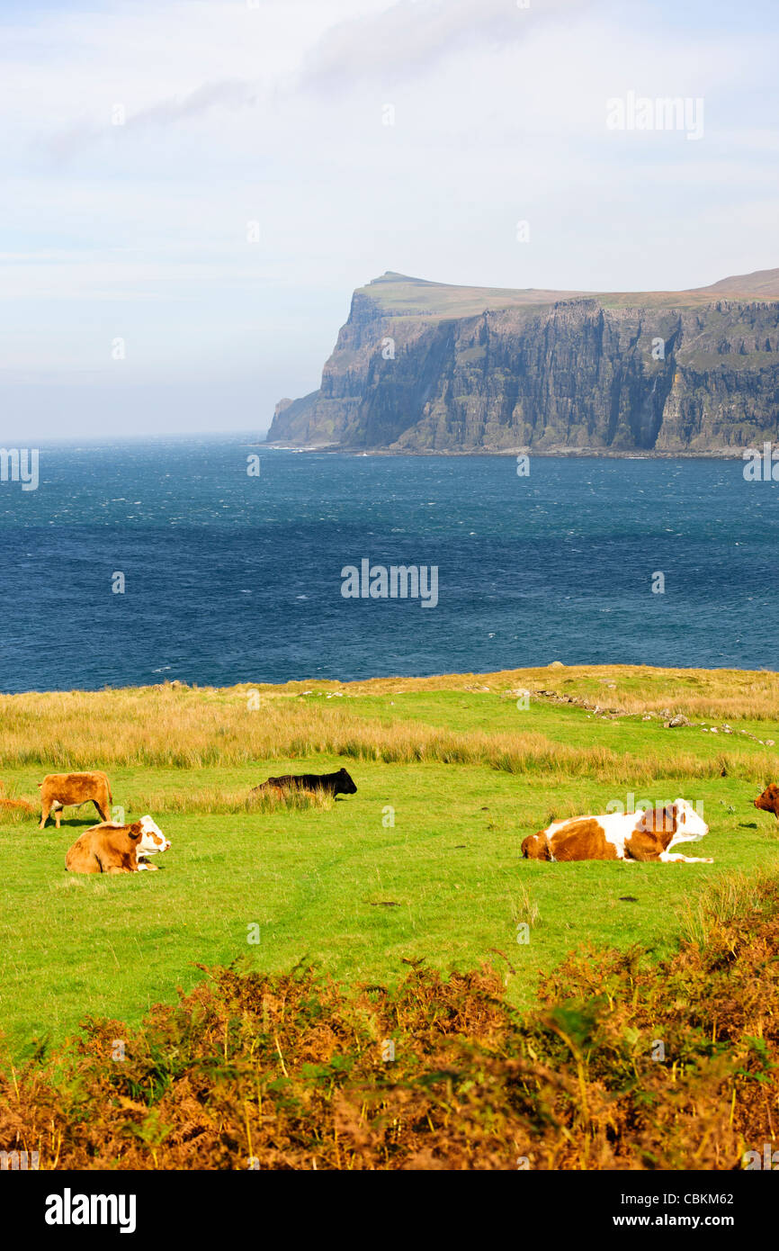 Dunvegan Head,Steep Cliffs,Roaring Waterfalls,Wild Scenery,Milovaig