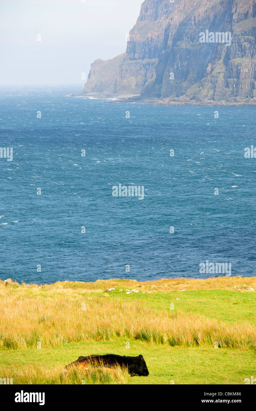 Dunvegan Head,Steep Cliffs,Roaring Waterfalls,Wild Scenery,Milovaig