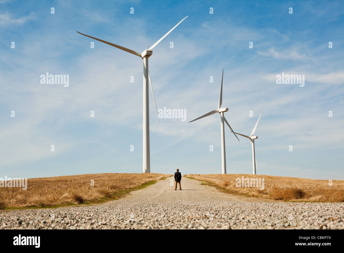 Distant view of man in front of wind turbines Stock Photo