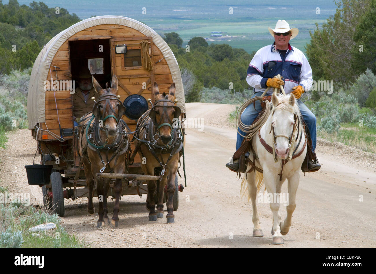 Covered wagon being pulled by mules at the City of Rocks National Reserve and state park in Cassia County, Idaho, USA. Stock Photo