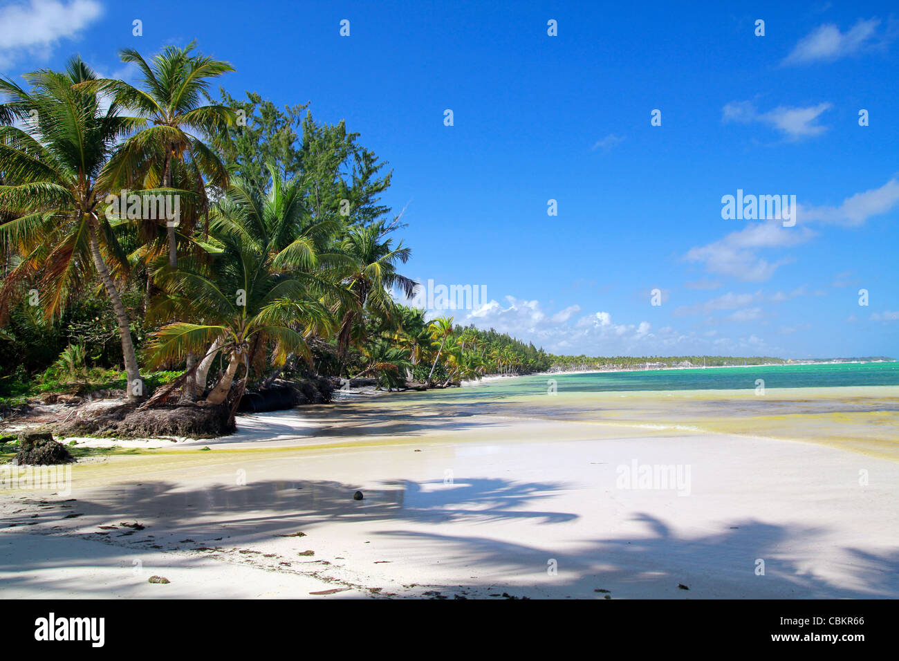 Tropical beach jungle hi-res stock photography and images - Alamy