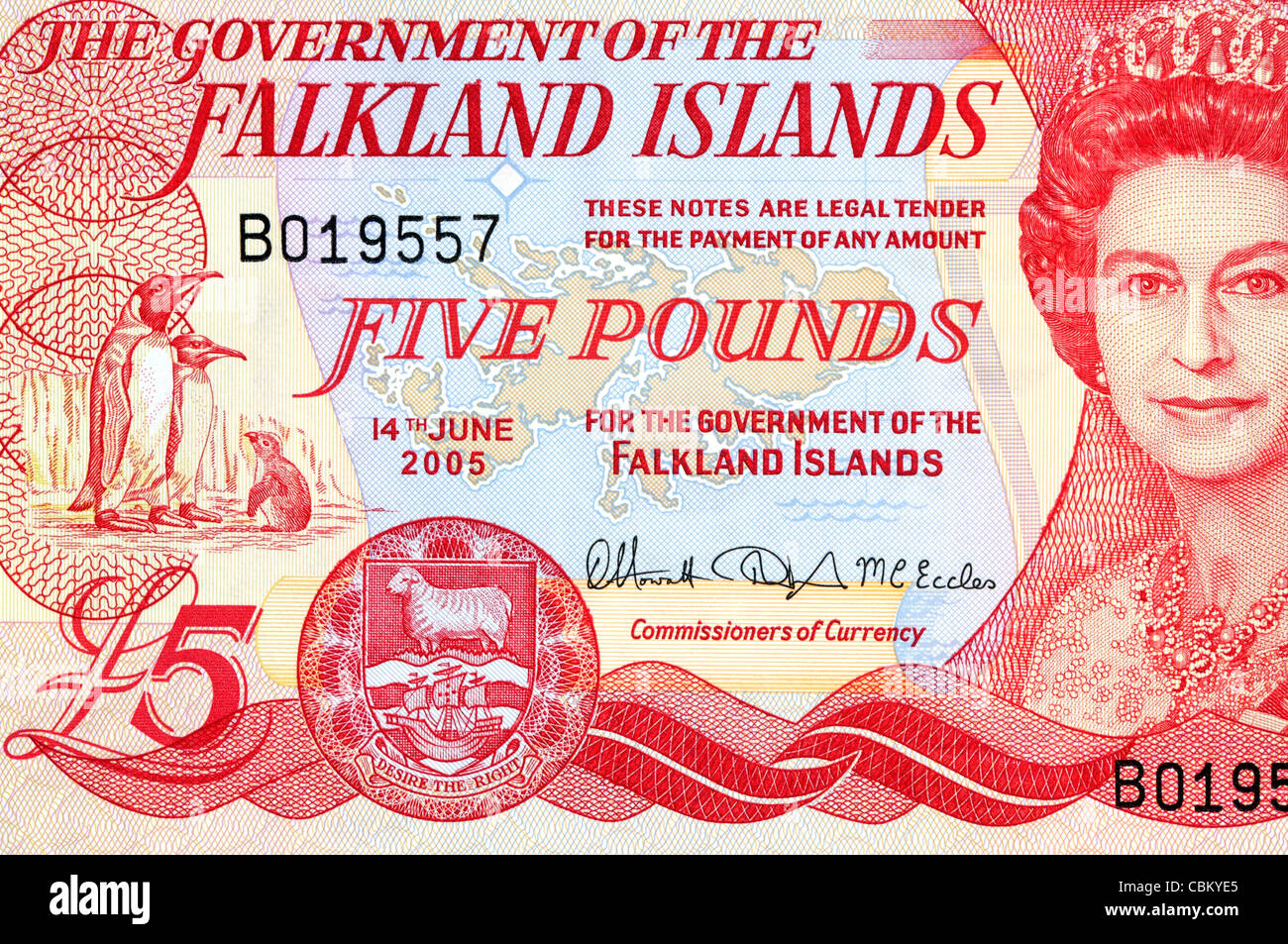 Falkland Islands 5 Five Pounds Bank Note. Stock Photo