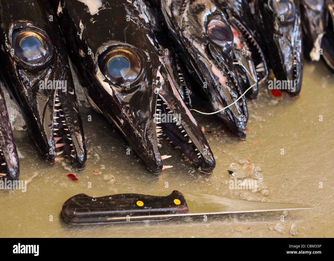 Black Scabbard fish Stock Photo