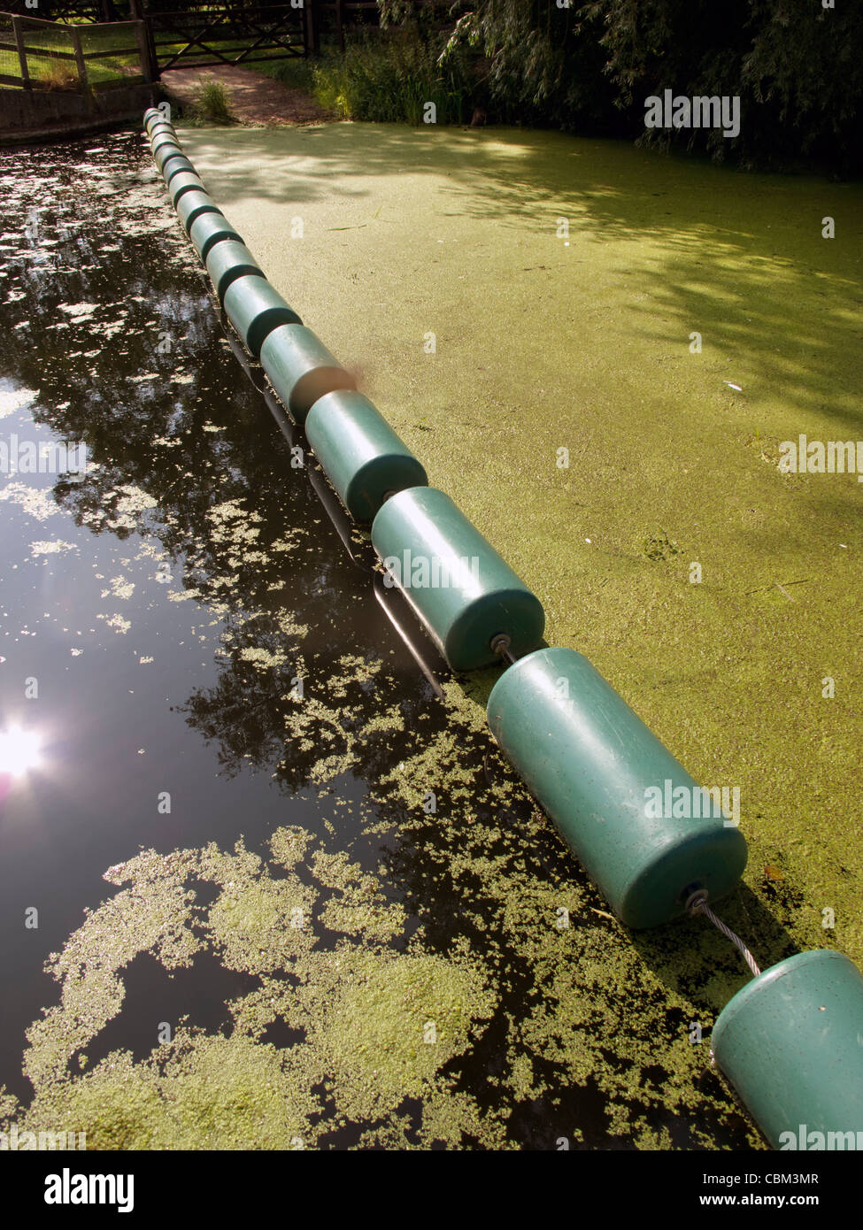 weed boom holding back duck weed at ellingham norfolk england Stock Photo