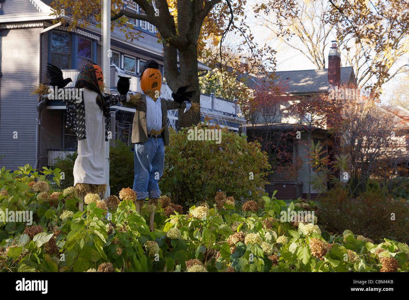 Scarecrows with pumkins for heads at Halloween Oak Park Illinois Stock