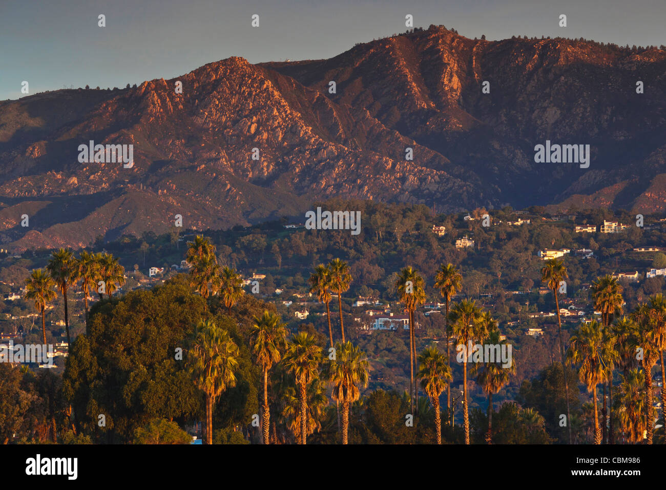 USA, California, Southern California, Santa Barbara, hillside, dawn Stock Photo