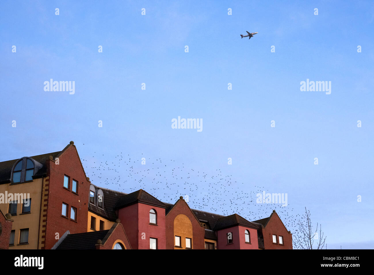 new city apartments with birds and jet aircraft overhead belfast northern ireland uk united kingdom Stock Photo
