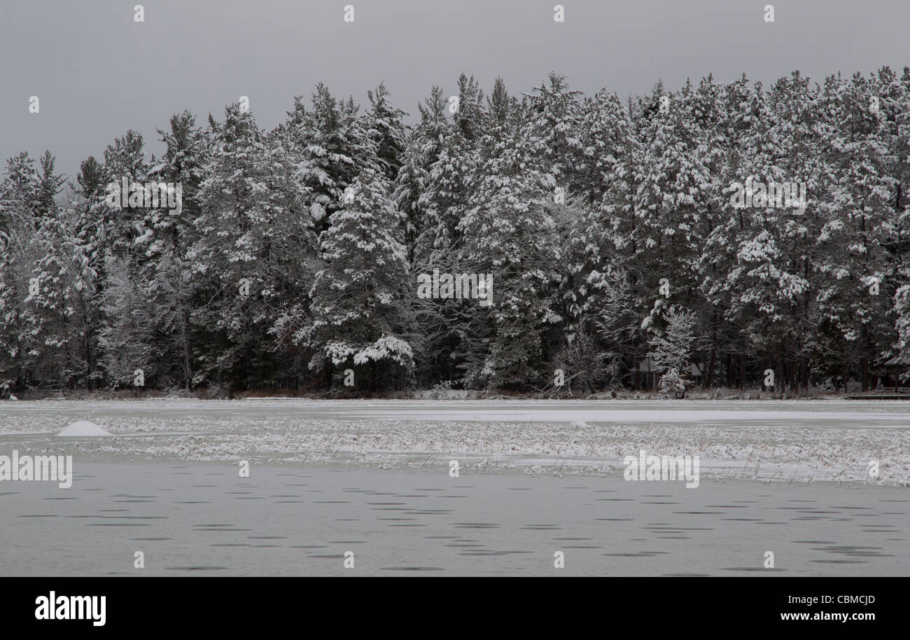 A picture of an ice and snow covered Wisconsin River Flowage and pines after a December