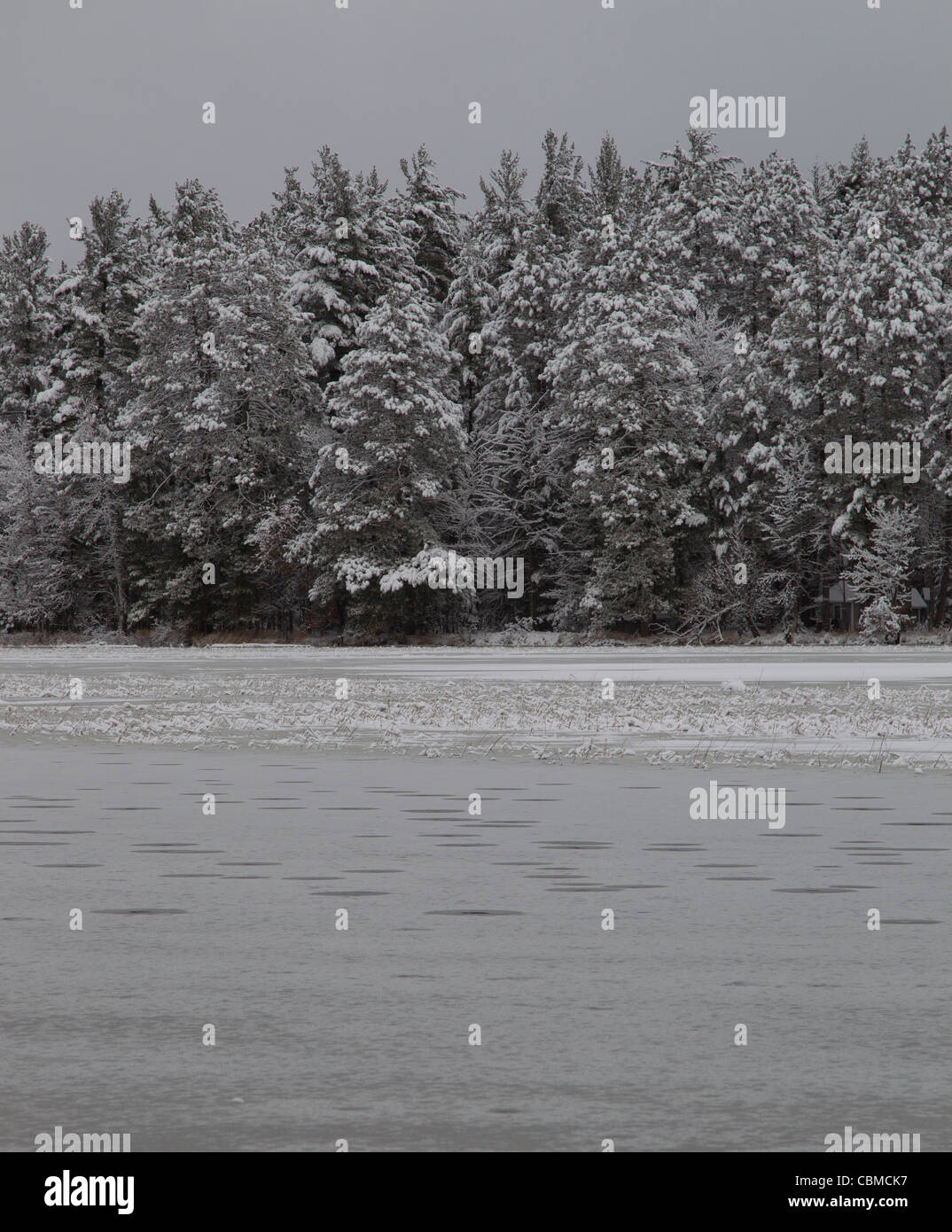 A picture of an ice and snow covered Wisconsin River Flowage and pines