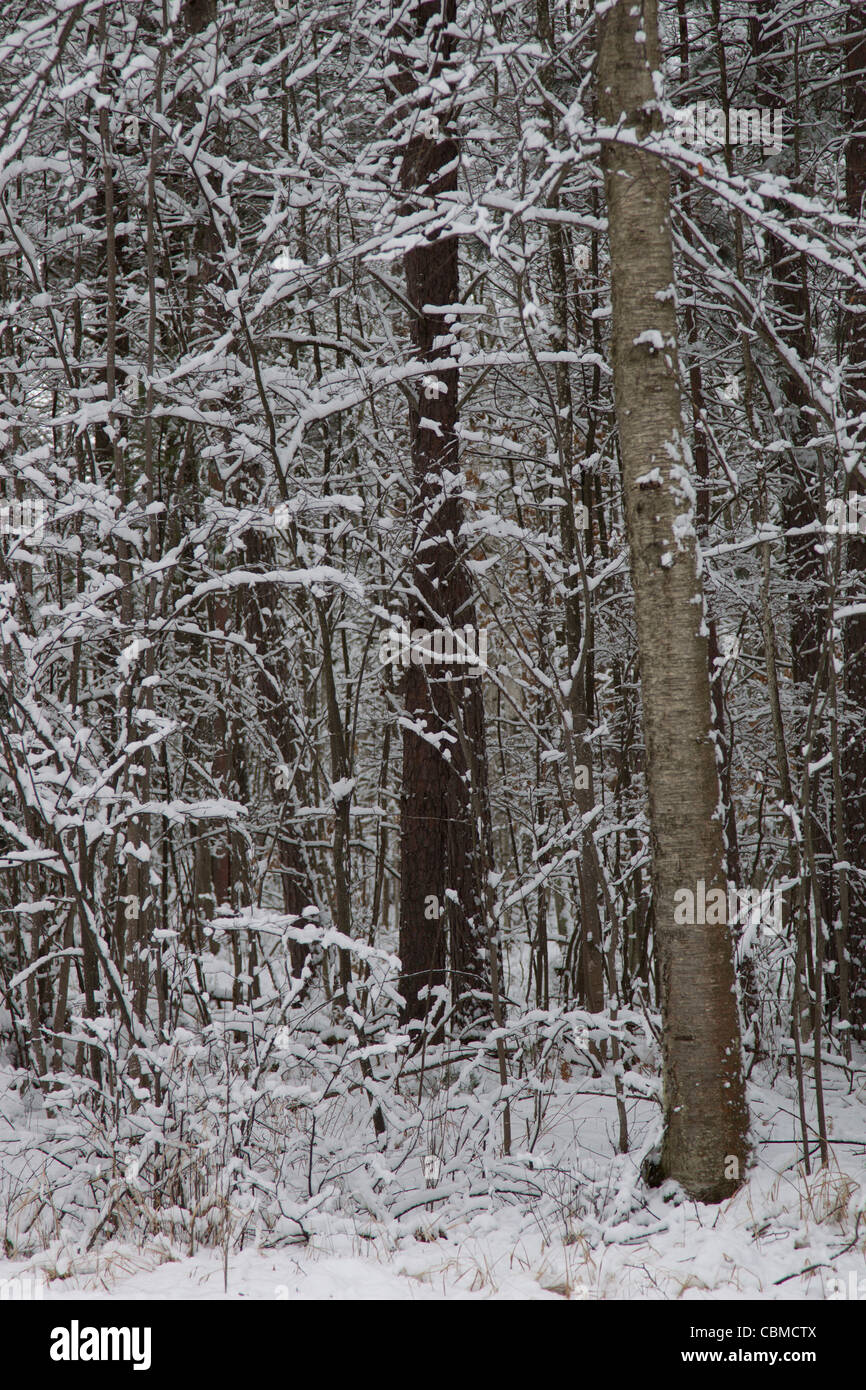 Rhinelander hires stock photography and images Alamy