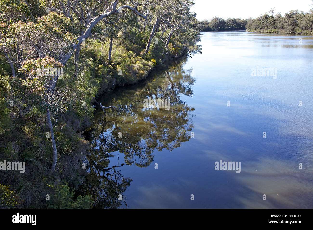 The Blackwood River, near Karridale, Western Australia Stock Photo Alamy