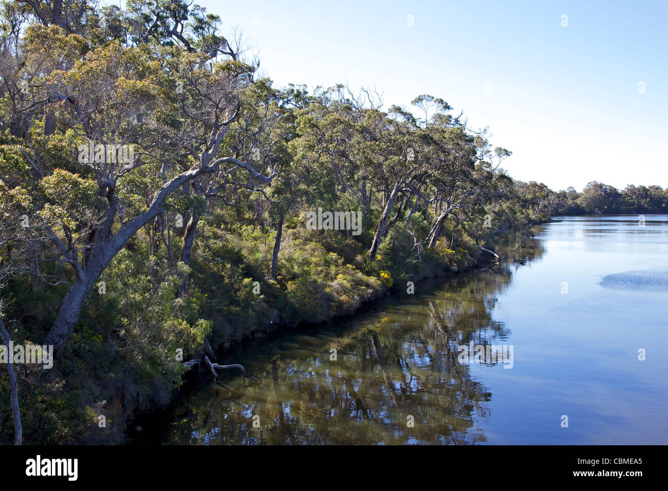 The Blackwood River, near Karridale, Western Australia Stock Photo Alamy