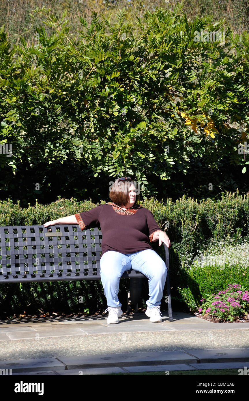 Obesity Fat Park Bench Stock Photos Obesity Fat Park Bench Stock