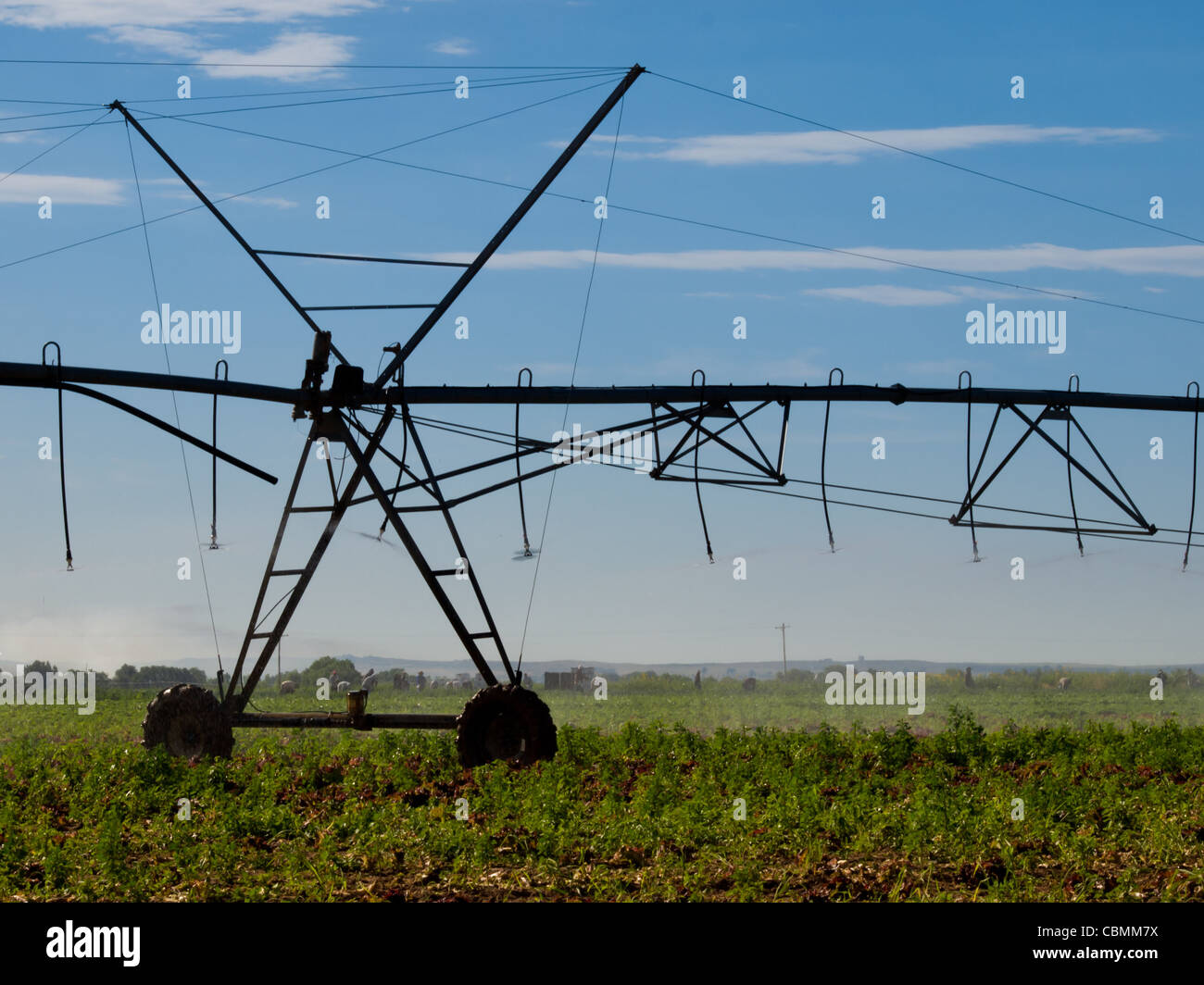 Circular irrigation system on the farm field Stock Photo Alamy