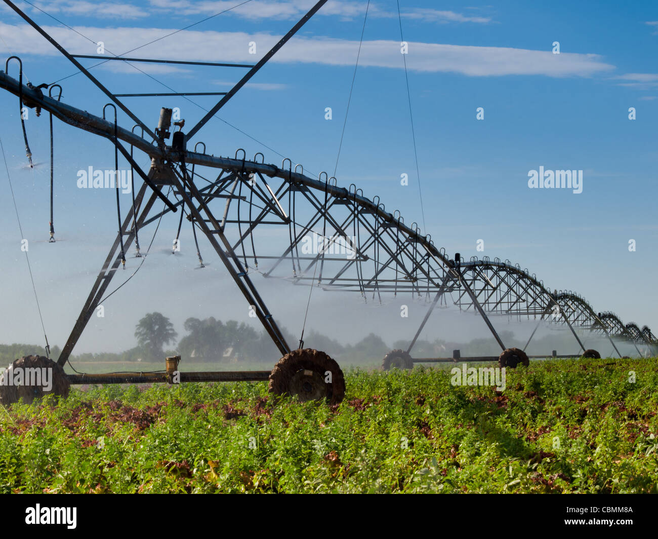 Circular Irrigation System Stock Photos & Circular Irrigation System
