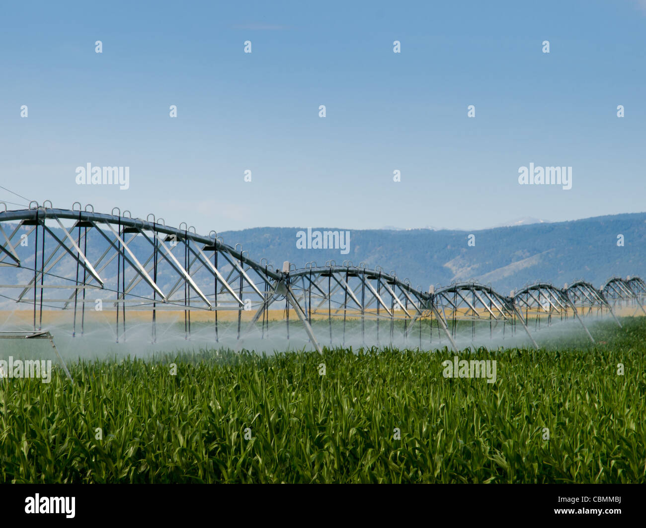 Circular irrigation system on the farm field Stock Photo Alamy