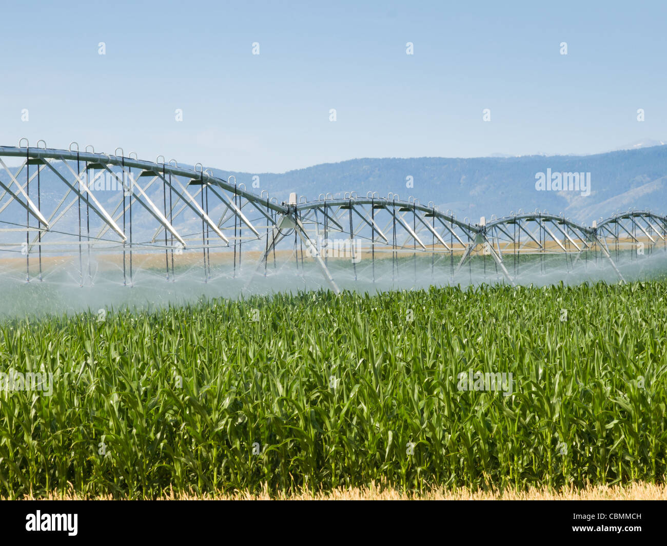 Circular irrigation system on the farm field Stock Photo Alamy