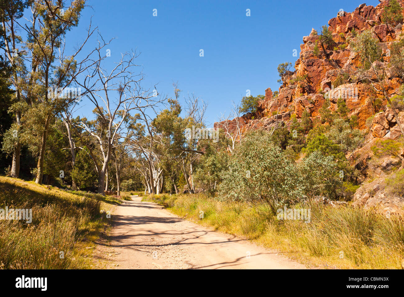 Rugged cliffs in Warren Gorge near Quorn in the Flinders Ranges in outback South Australia, Australia Stock Photo