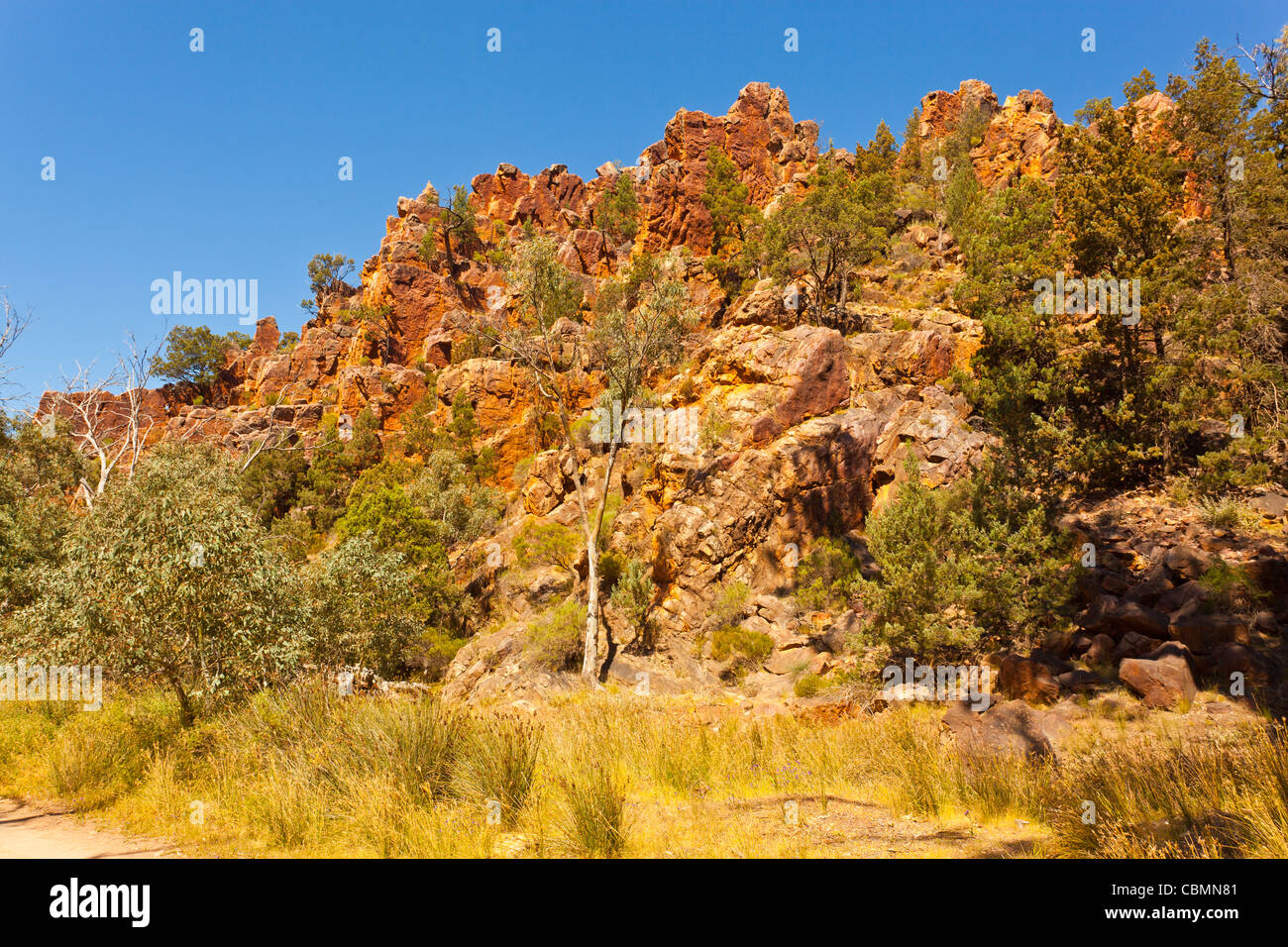 Colourful cliffs in Warren Gorge near Quorn in the Flinders Ranges in outback South Australia, Australia Stock Photo