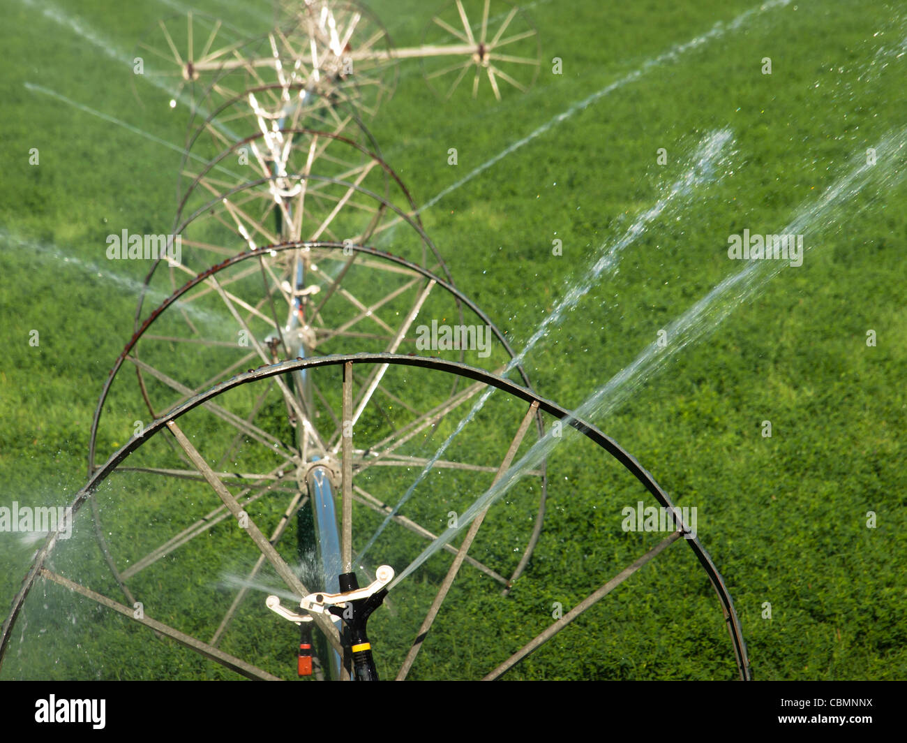 Turf farm Irrigation system on the farm field Stock Photo Alamy