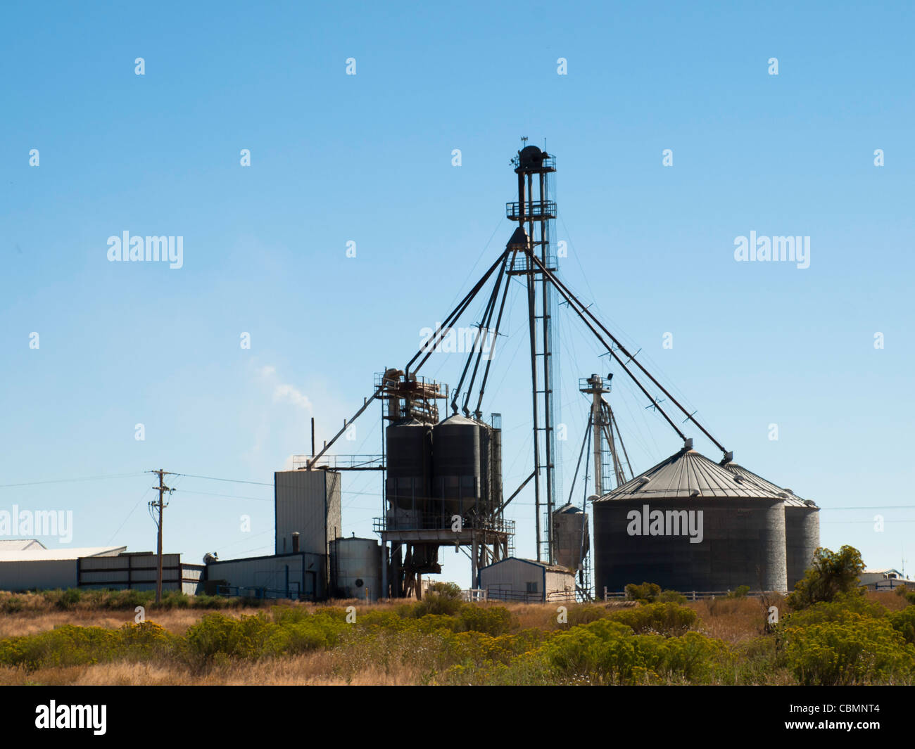 Animal feed factory in northern Colorado Stock Photo Alamy