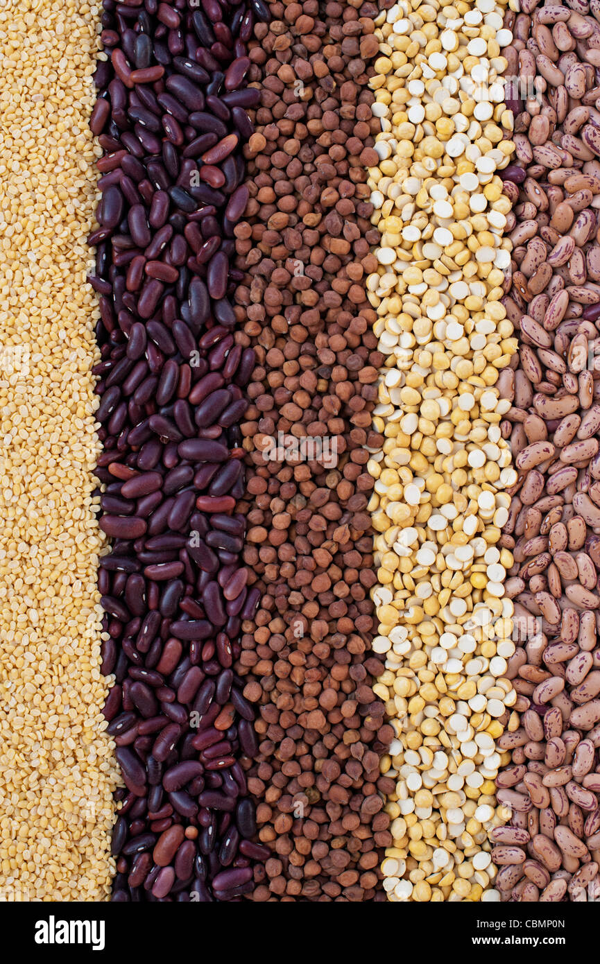 Pulses, seeds, bean and lentil pattern Stock Photo