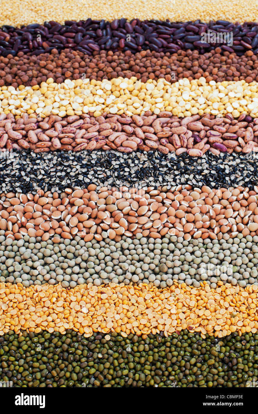 Pulses, seeds, bean and lentil pattern Stock Photo