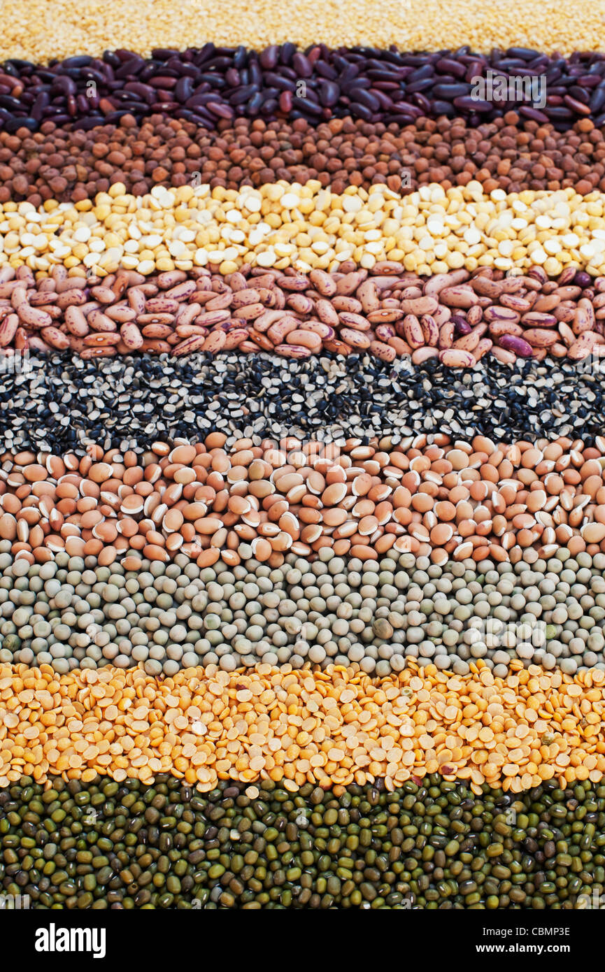 Pulses, seeds, bean and lentil pattern Stock Photo Alamy