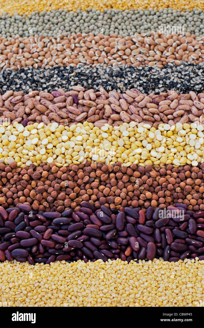 Pulses, seeds, bean and lentil pattern Stock Photo