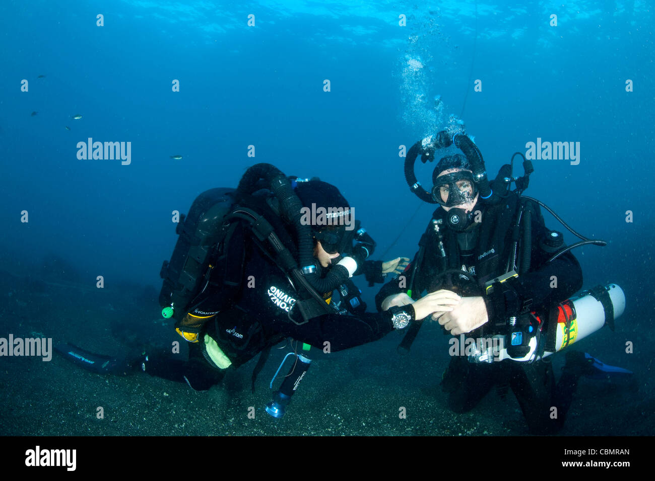 Rebreather Divers practising exercises, Ischia, Mediterranean Sea, Italy Stock Photo