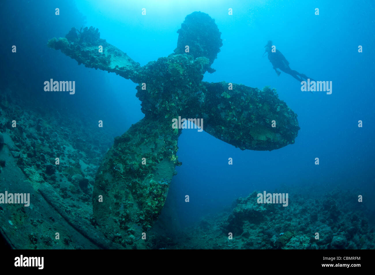 Scuba Diver near Propeller of Umbria Wreck, Wingate Reef, Red Sea, Sudan Stock Photo
