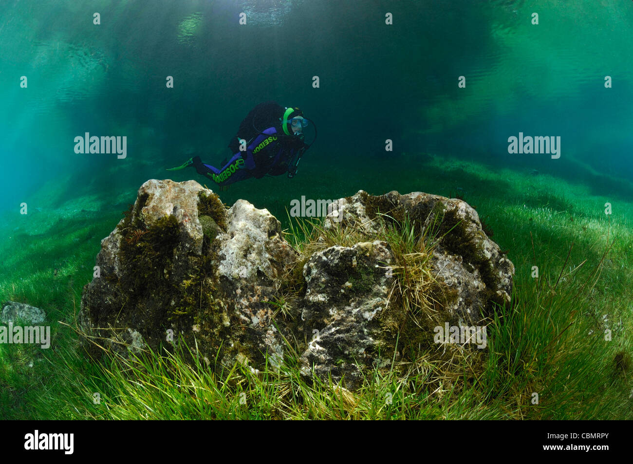 Scuba Diving in Green Lake, Tragoess, Styria, Austria Stock Photo