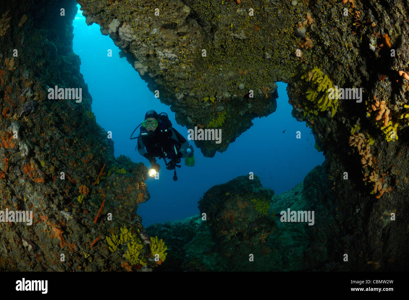 Cave Diving in Mediterranean Sea, Cres Island, Adriatic Sea, Croatia Stock Photo