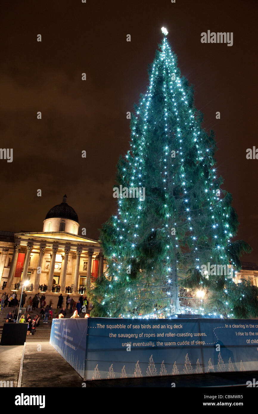 Trafalgar Square Christmas tree at night, London, England, United Kingdom. Photo:Jeff Gilbert Stock Photo