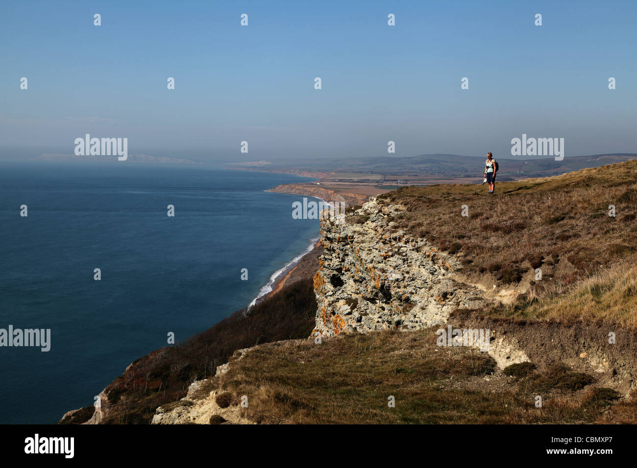View Looking West from Gore Cliff Isle of Wight Stock Photo
