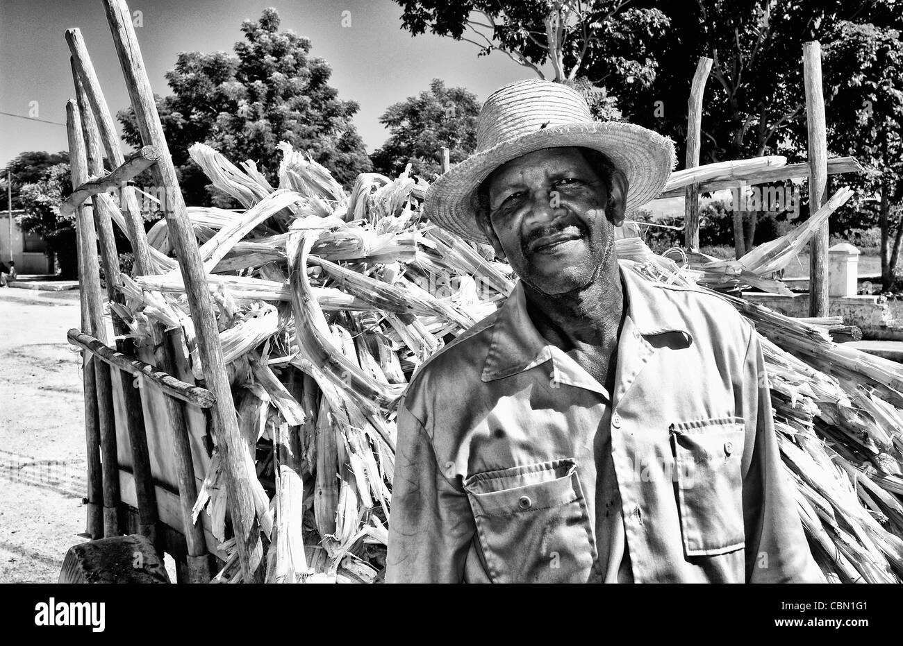 Black worker collecting sugar cane stalks on truck in small village of Australia Cuba farm country Stock Photo