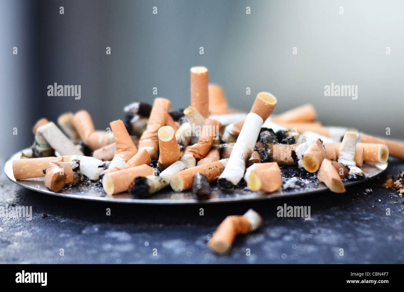 cigarette butts stubbed out on bin lid Stock Photo - Alamy