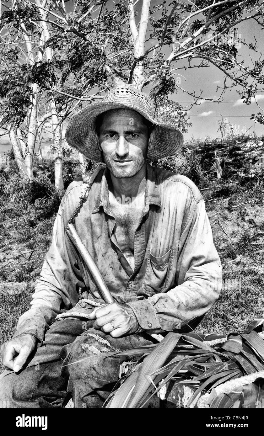 Farmer in red shirt and straw hat riding horse carriage with crops in