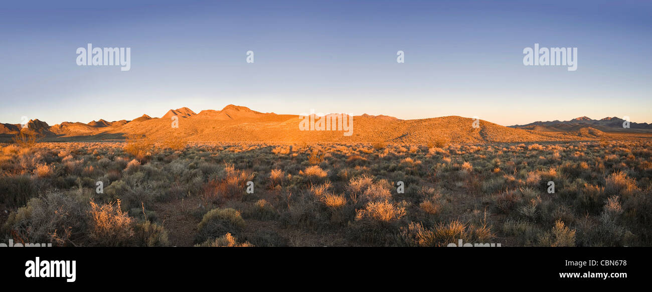 Nevada Desert At Sunrise Stock Photo Alamy