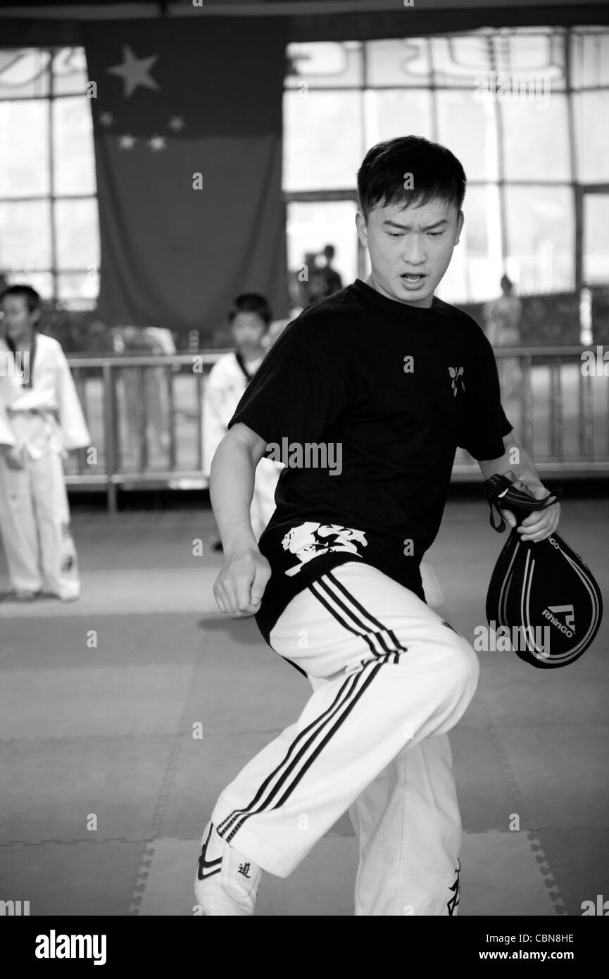 Taekwondo trainers sale