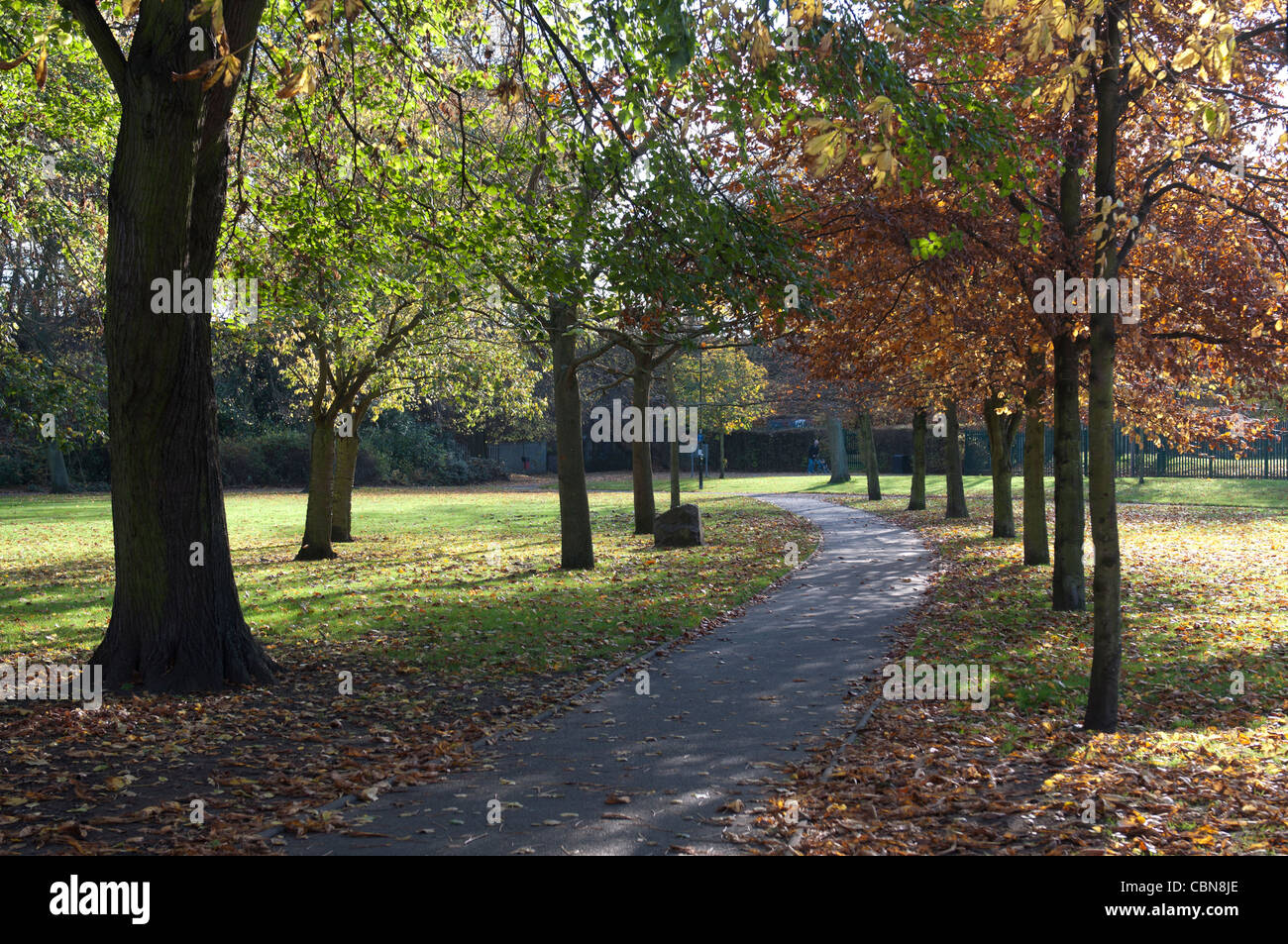 Riversley Park, Nuneaton, Warwickshire, England, UK Stock Photo - Alamy