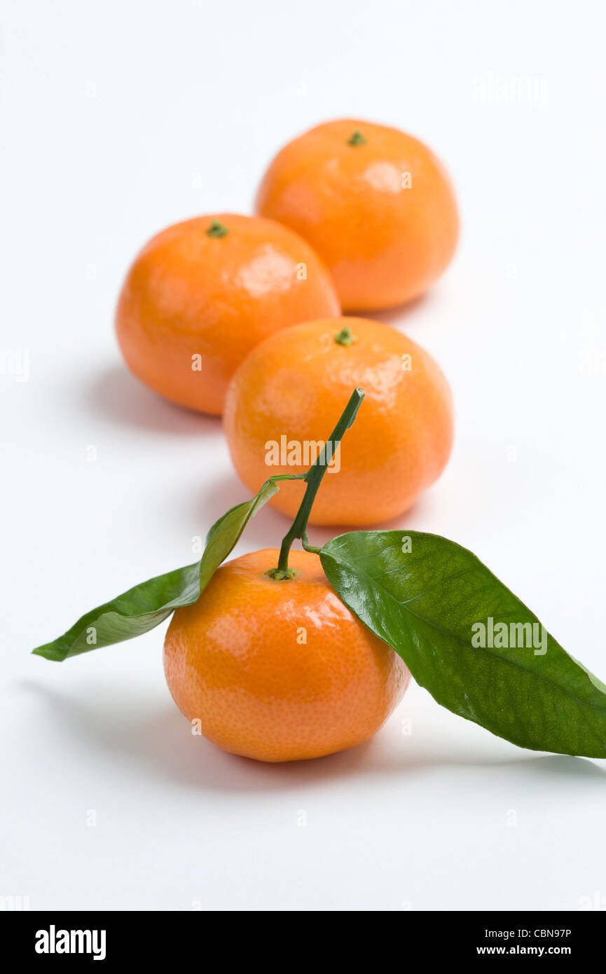 clementine oranges on a white background Stock Photo Alamy