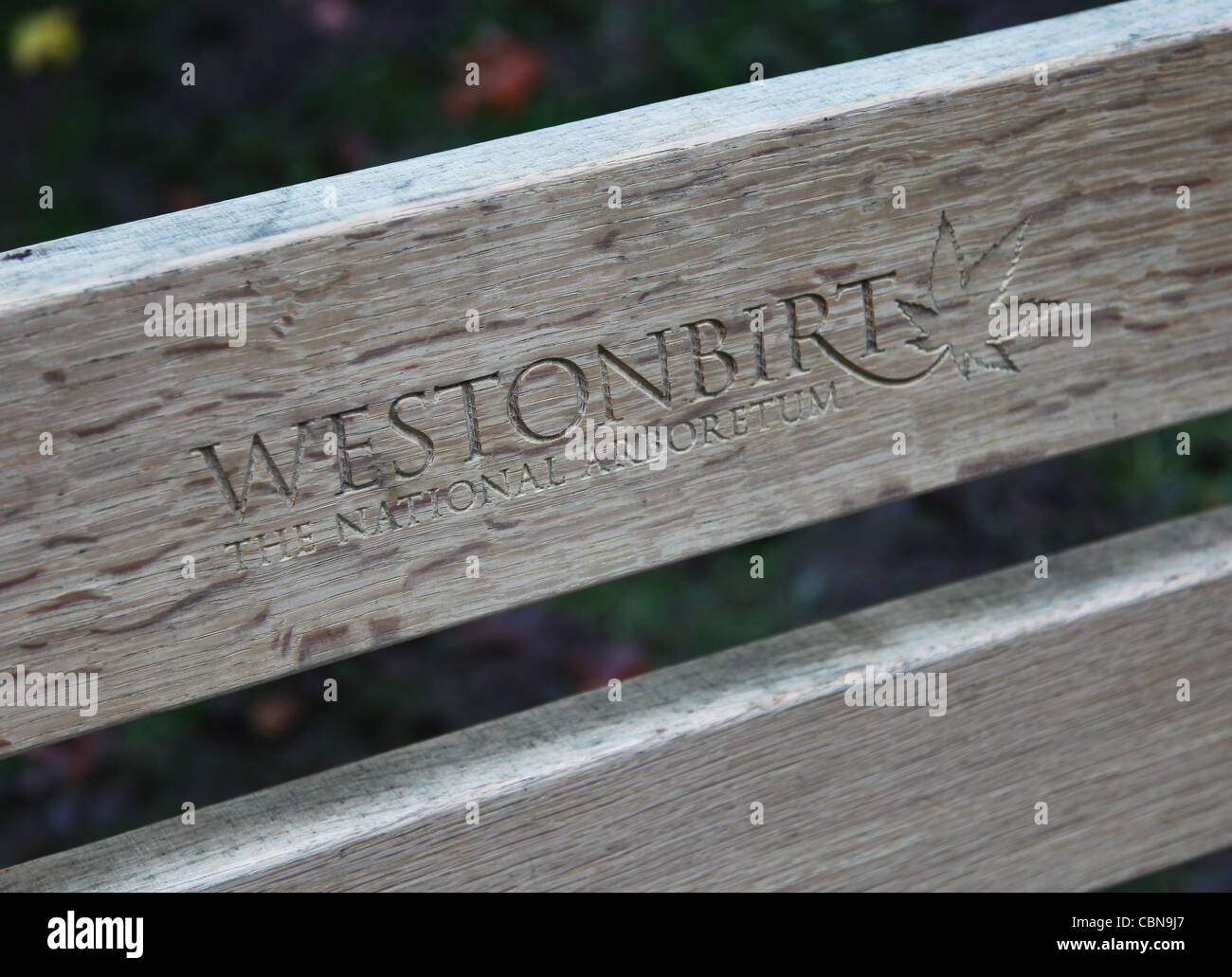 A wooden bench at Westonbirt Arboretum, The National Arboretum, Gloucestershire England Stock Photo