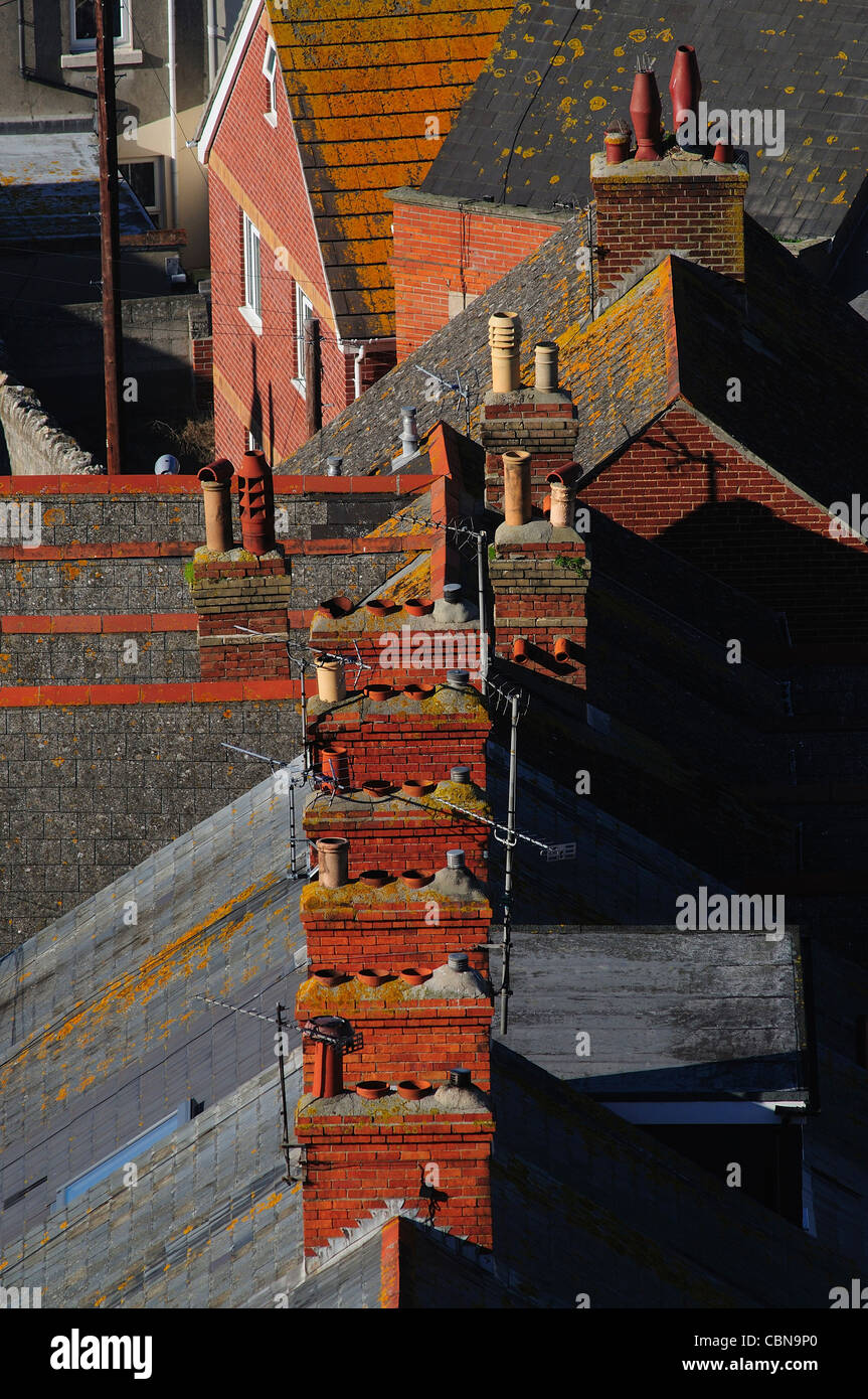 How To Get Birds Out Of Chimney Uk Dead Bird Scam Find A Chimney