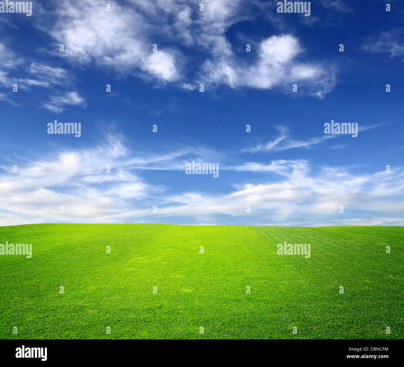 Green field and blue sky Stock Photo - Alamy
