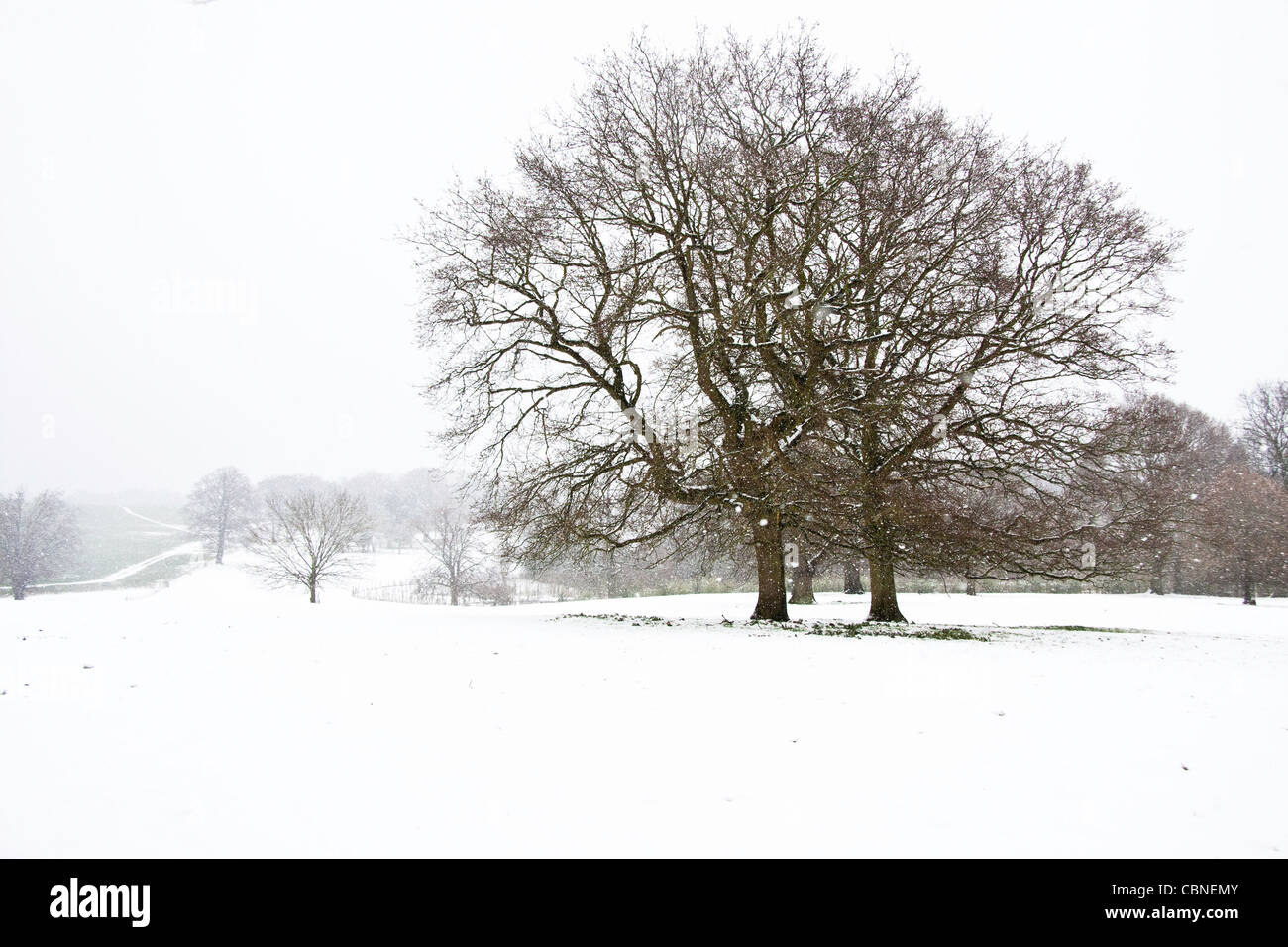 Snow scene of Kent Stock Photo Alamy