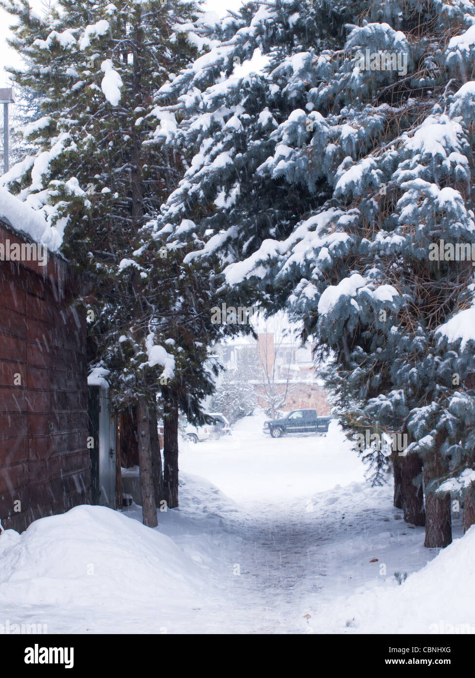 Sidewalk under the snow. Stock Photo